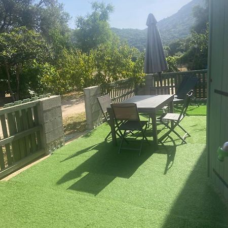 Appartement Proche Du Depart Du Gr20 Калензана Екстериор снимка