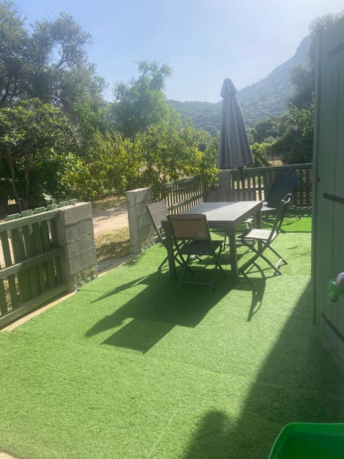Appartement Proche Du Depart Du Gr20 Калензана Екстериор снимка